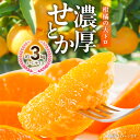 【ふるさと納税】【限定】 せとか 約3kg (S～Lサイズ) 【紀州グルメ市場】【ミカン 蜜柑 せとか 柑橘】