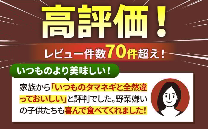 白石産たまねぎ 約10kg