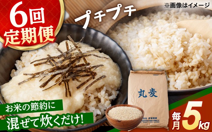 
                  もち麦よりも『ぷりっ』とした弾力【6回定期便】長崎県産 丸麦 5kg / 麦 むぎ 雑穀 雑穀米 麦ごはん 麦飯 麦みそ 食物繊維 / 諫早市 / 有限会社伊東精麦 [AHBU015]
                