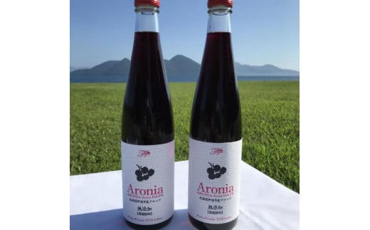 北海道 伊達 大滝産 アロニア ジュース 500ml 2本 果汁 果実飲料 飲料 飲み物 フルーツ スーパーフード ポリフェノール