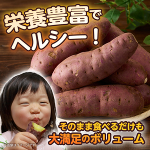 【先行予約】富士美芋 生4.5kg さつまいも 甘い 蜜がたっぷり 加熱後糖度30以上 絶品 栄養豊富 期間限定 富士市 やわらか [sf070-002]