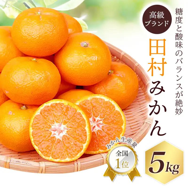 みかん 高級ブランド 田村みかん 5kg【uot504A】