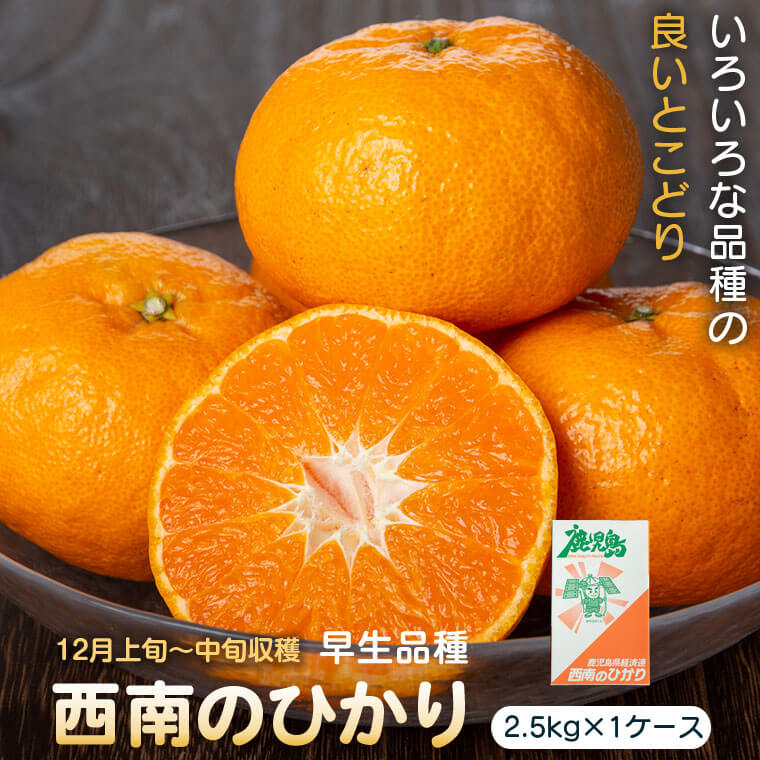 【ふるさと納税】＜先行予約受付中！2025年12月より収穫ができ次第順次発送予定＞肝付町産西南のひかり(2.5kg×1ケース) 鹿児島 国産 蜜柑 ミカン 柑橘 かんきつ フルーツ 果物 ギフト お歳暮【JA鹿児島きもつき高山支所】