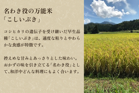 【令和7年産新米先行予約】新潟県産こしいぶき 精米 2kg 《9月下旬～順次出荷》 コシイブキ 新潟米 お米 白米 ライス ご飯 加茂市 捧運次商店 