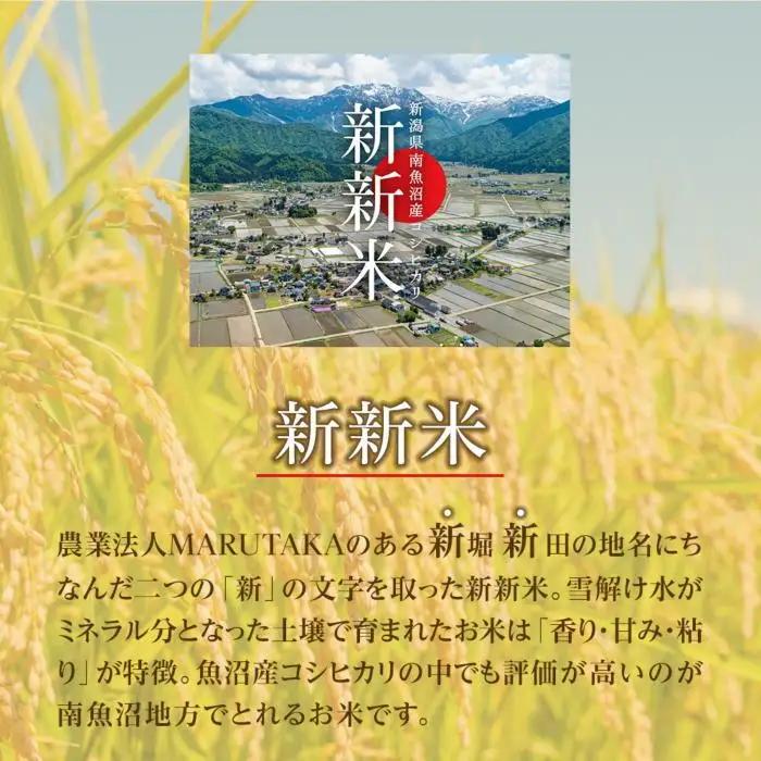 【令和7年】【ふるなび限定】【新新米】南魚沼産コシヒカリ5kgふるさと八海山の農家直販　FN-Limited-SP