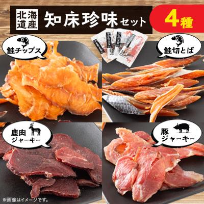 ふるさと納税 斜里町 知床珍味セット　鹿肉ジャーキーや鮭チップスのセット