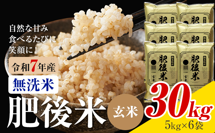 熊本県産 肥後米 無洗米 玄米 30kg 1袋5kg 米 お米 令和7年産 九州産 熊本県産 ブレンド米 送料無料《30日以内に出荷予定（土日祝除く）》玄米 無洗米 米