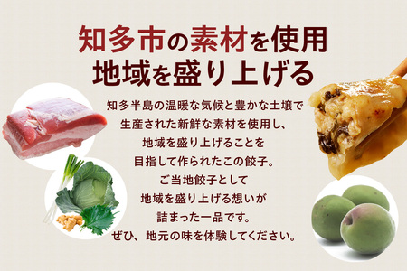 知多の梅しそ餃子 餃子 愛知県産 ご当地餃子 国産 生餃子 梅 梅しそ おかず ぎょうざ ギョウザ 冷凍食品 お惣菜 豚肉 中華 点心 お取り寄せ おつまみ 国産野菜 贈答用 便利 焼くだけ お手軽 