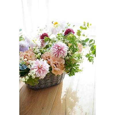 ふるさと納税 芸西村 【毎月定期便】芸西村産季節のアレンジ アレンジメント カゴ付 L全6回 |  | 01