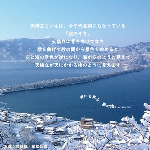 【日本三景・天橋立】旅館組合22施設から選べる旅行クーポン（宿泊・食事補助券）60,000円分 ～海の京都 宮津で過ごす絶景旅に～ myz00 myz11 myz15