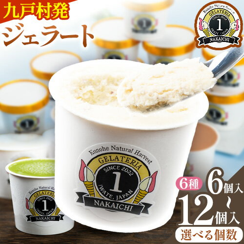 【ふるさと納税】ジェラート 6種 6個 12個 バラエティーセット GELATERIA NAKAICHI《30日以内に出荷予定(土日祝除く)》岩手県 九戸村 ジェラート アイス ミルク チョコ 抹茶 リンゴ ラムレーズン