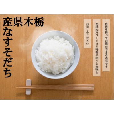 ふるさと納税 那須町 【大田原市・那須塩原市・那須町共通返礼品】R7年産栃木県産コシヒカリなすそだち10kg〔P-131〕 |  | 01