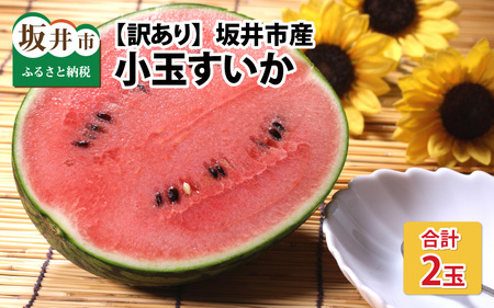 【先行予約】【訳あり】小玉すいか 2玉 坂井市産【2026年7月以降順次発送予定】 [A-3222]