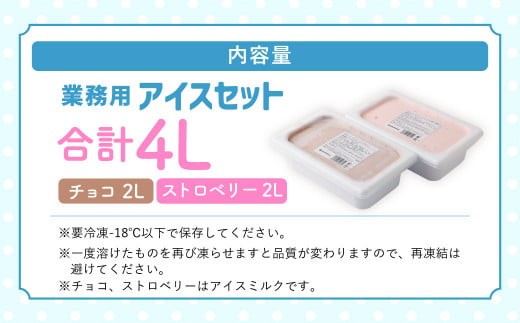 2Lアイスセット(チョコ・ストロベリー)