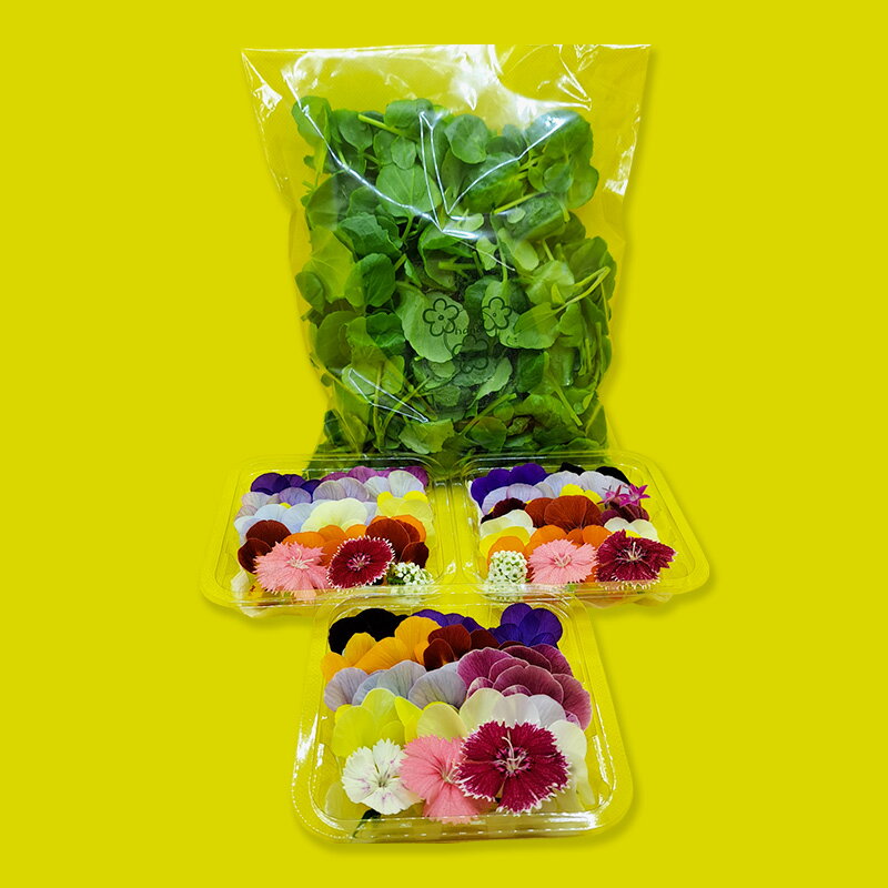 【ふるさと納税】【Bセット】エディブルフラワー(生花20輪)3パック サラダクレソン(80g) 食用花 食べられる花 生け花 誕生日 プレゼント 飾り付け 食用 お菓子【配達不可：離島】