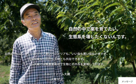 訳あり 栗 2kg 生むき栗 11月発送［BSAR017］