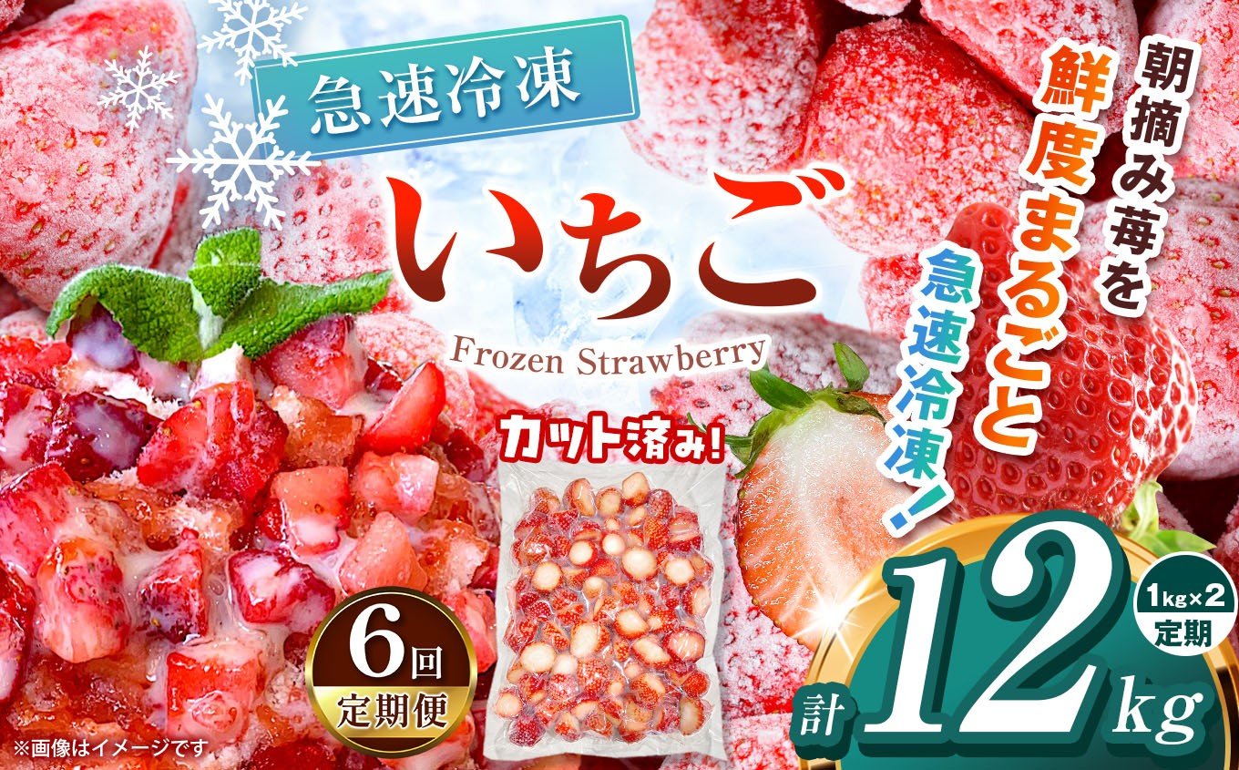 
            【栃木県共通返礼品】【定期便6回】冷凍いちご 2kg | 定期便 いちご とちあいか 冷凍 冷凍イチゴ スイーツ ジャム スムージー たっぷり 大粒  甘い 美味しい 果物 デザート 栃木県 那珂川町 送料無料
          