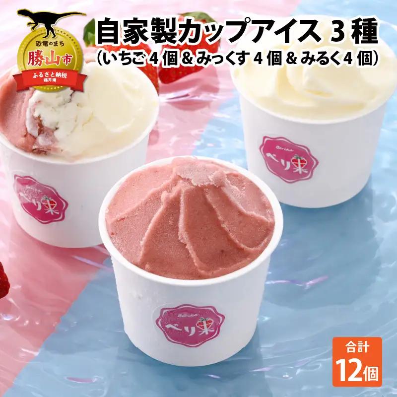 アイスクリーム 3種セットアイス