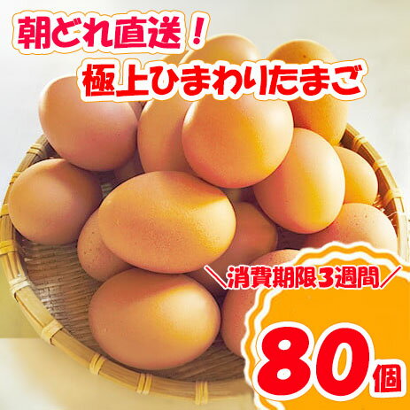 【ふるさと納税】極上ひまわりたまご（2段）※破卵補償10個含（冷蔵） 卵 鶏卵 玉子
