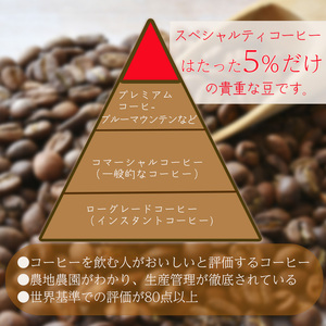 【スペシャルティコーヒー】マスターセレクトセット 160g×2種類 | コーヒー コーヒー コーヒー コーヒー コーヒー コーヒー 【KYW0021】