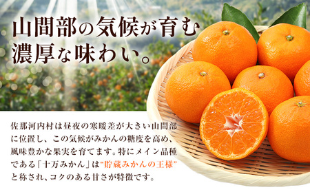 訳あり 熟成みかん 4.5kg 《1月上旬-3月上旬出荷》徳島 柑橘 ミカン 蜜柑 フルーツ 青果物 徳島県 佐那河内村