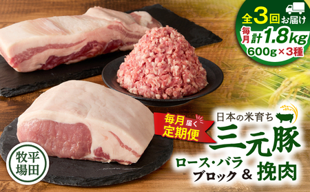 【 全3回 毎月 定期便 】 日本 の 米育ち 平田牧場 三元豚 バラブロック 600g ・ 豚ロースブロック 600g ・ 豚挽肉 600g T036-T15-01 定期 肉 お肉 にく 豚 豚肉 ブタ ぶた とんかつ 焼豚 ハンバーグ そぼろ 黒豚 冷凍 バークシャー種 特別品種 便利 パック おかず 夕食 美味しい おいしい ジューシー ふるさと納税 北海道 苫小牧市 おすすめ ランキング プレゼント ギフト