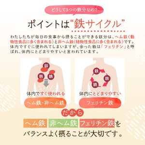 鉄分 サプリ ルミエル 鉄 10mg フェリチン鉄 ヘム鉄 葉酸 栄養機能食品 3袋（3ヶ月分）