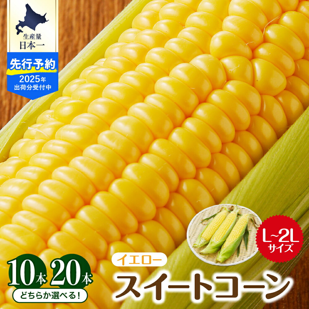 【ふるさと納税】【2025年産 先行予約】 とうもろこし 生産量 日本一 楽天 ランキング 1位 獲得 北海道 芽室町産 スイートコーン イエロー種 (選べる本数 : 10本 20本) L ～ 2L サイズ人気 キャンプ飯 BBQ ソロキャン コーン 生 甘い 野菜 北海道 十勝 芽室町