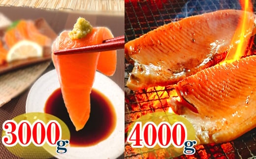 D-09003 お刺身トラウトサーモン3kg＆とろサーモンハラミ4㎏セット