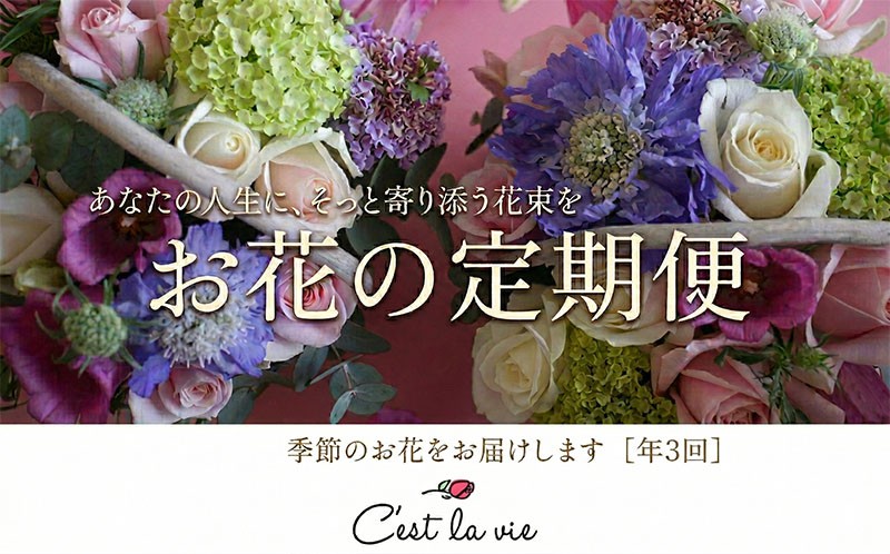 
                  【定期便年3回】 バラ アレンジメント S フレンチスタイル 花 薔薇 お花 生花 フラワー アレンジ 葉 誕生日 贈り物 季節 植物 記念日 新鮮 ギフト プレゼント 色 お取り寄せ 癒し 送料無料 セラヴィ 湘南 神奈川県 平塚市
                