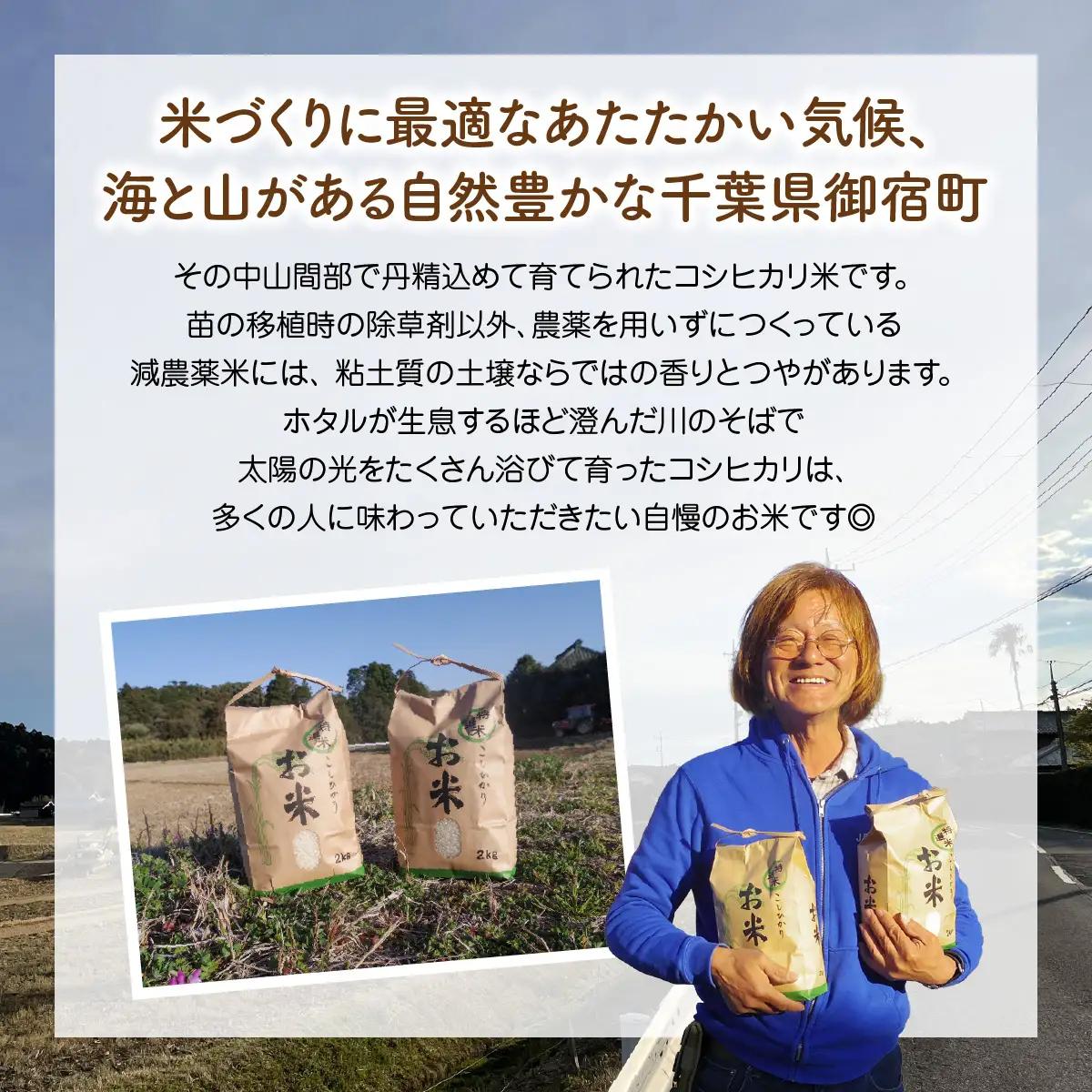 みのやファームの減農薬こしひかり 30kg(白米) ONJF014