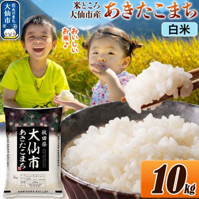 ふるさと納税 大仙市 米 あきたこまち【白米】 令和7年産 10kg|22_ssn-011001_sf
