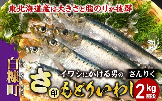 さ印さんりく もどりいわし【2kg前後】※9月下旬～11月中旬まで、入荷次第順次発送_I010-0397-2009