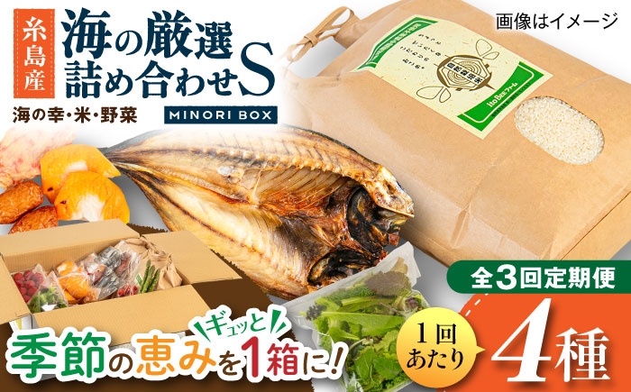 
            【全3回定期便】糸島産 魚 米 野菜 果物 厳選詰め合わせ MINORI BOX Sサイズ 糸島市 / emma.Inc / 米 魚 野菜 詰め合わせ [AOP020]
          