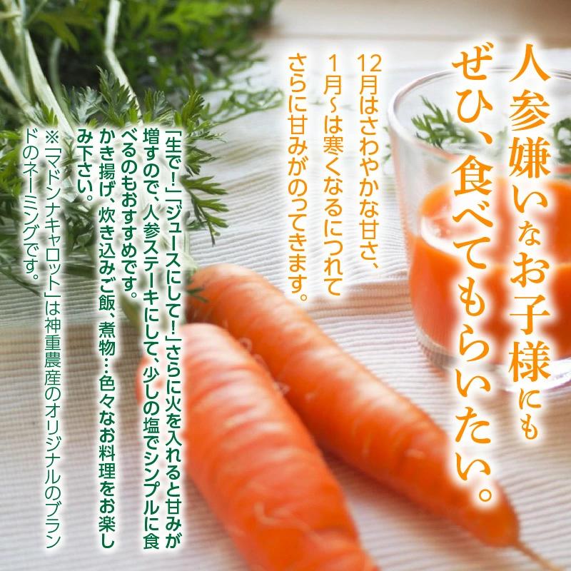 ＜フジテレビ『どっちのふるさと？』で紹介されました！＞ にんじん 新玉ねぎ 定期便 2回　旬の美味しい季節にお届け マドンナキャロット 旬玉　H105-130