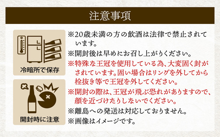 神渡 純米吟醸 Petillant 720ml×2本セット