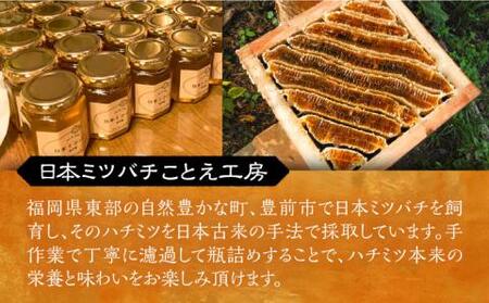 日本ミツバチの蜂蜜(ギフトセット150g×2本)《豊前市》【日本ミツバチことえ工房】蜂蜜 はちみつ ハチミツ[VCM001] はちみつ はちみつ 蜂 はちみつ 蜂蜜 はちみつ ハチミツ はちみつ はち
