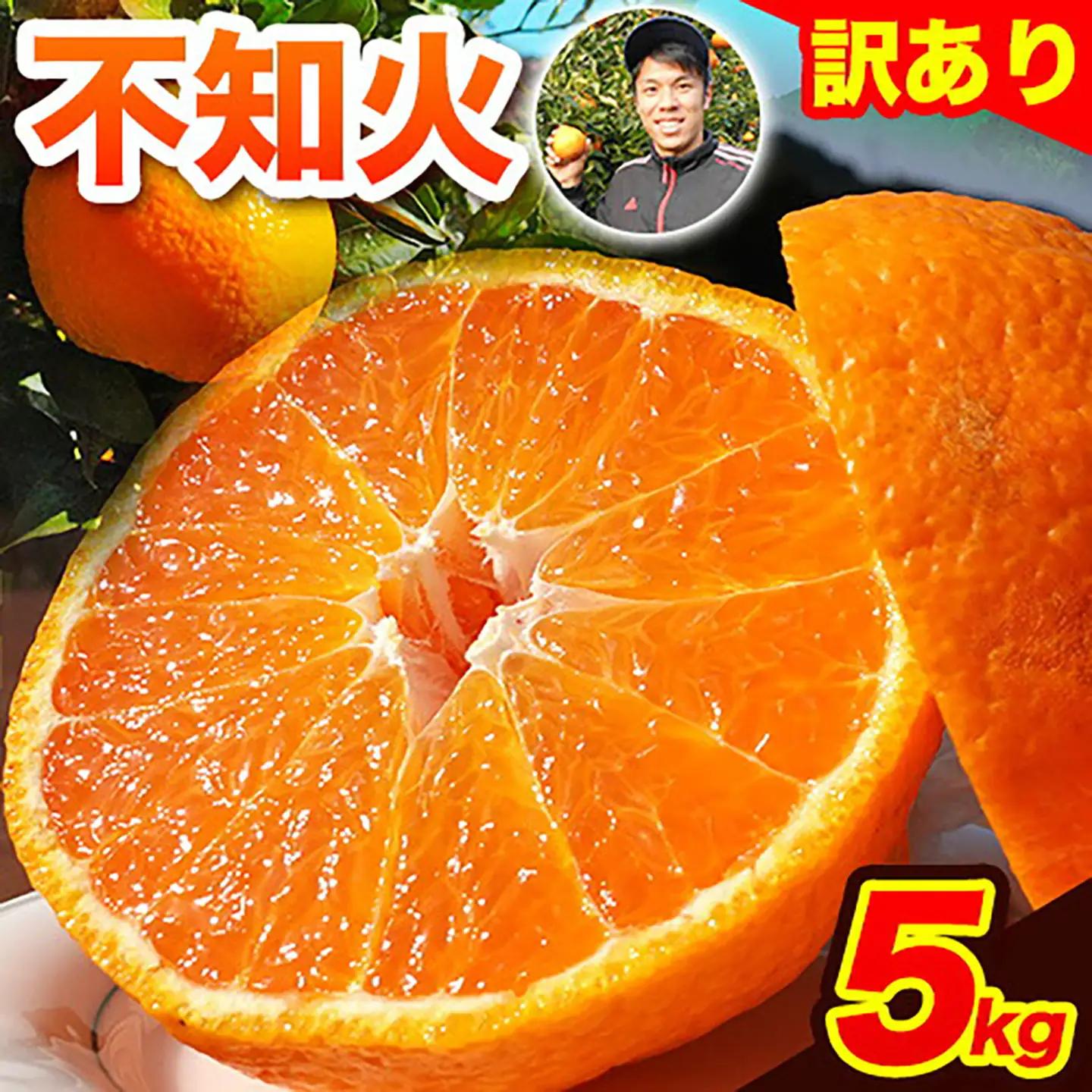 不知火 訳あり 5kg 不知火