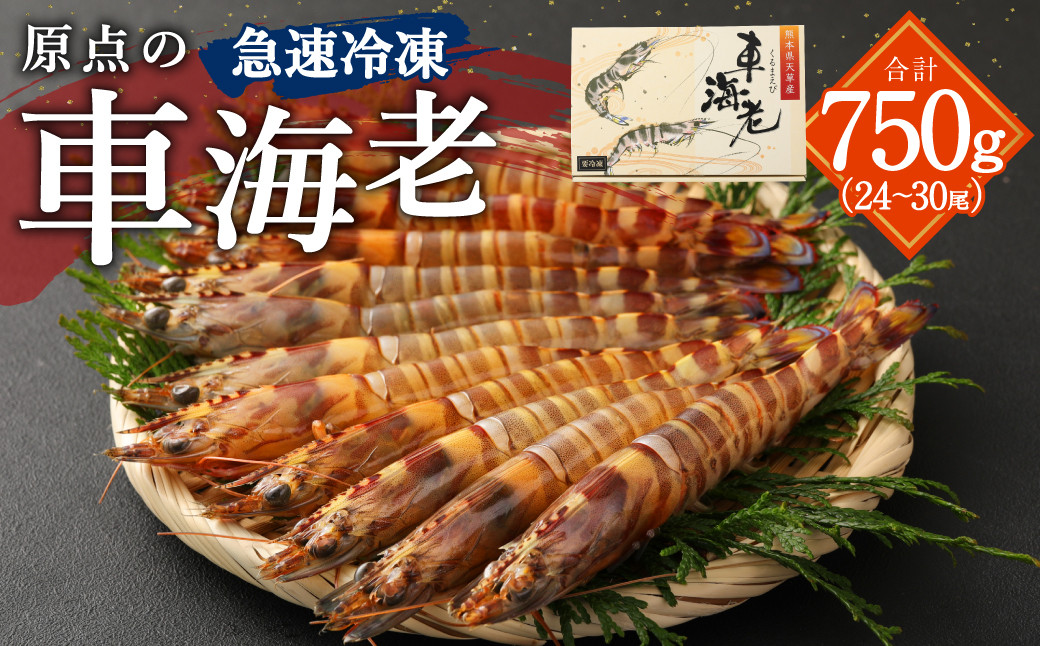 
原点の車海老「急速冷凍」750g（24～30尾） （250g×3パック） 車海老 車えび くるまえび 急速冷凍 新鮮 お刺身 天ぷら 塩焼き 熊本県産
