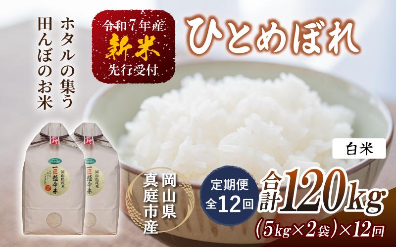 
            【令和7年産先行予約】＜定期便全12回＞ 令和７年新米 真庭市産 ひとめぼれ 白米 １０kg(5kg×2袋)×１２回（定期便）/ お米 岡山県 真庭市 白米 米 ヒトメボレ ひとめぼれ 人気 ブランド米 新米 令和7年産 2025年産 <TKN-27-12> 【takenaka040-01-tkb12-cho】
          
