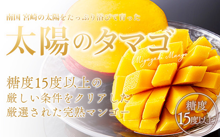 ＜宮崎県産完熟マンゴー 太陽のタマゴ 2L 合計1玉＞入金確認後、2025年7月初旬迄に順次出荷【選べる 大きさ サイズ 国産 かんじゅく とろける 果物 果実 フルーツ 南国 芳醇 甘い 旬 濃厚 