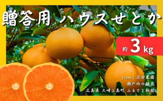 [2月発送] 贈答用 瀬戸内ハウスせとか 約3kg (12玉) 国産 広島 大崎上島 離島 柑橘 濃厚 甘い 薄皮 ギフト 化粧箱 産地直送 送料無料 文田農園