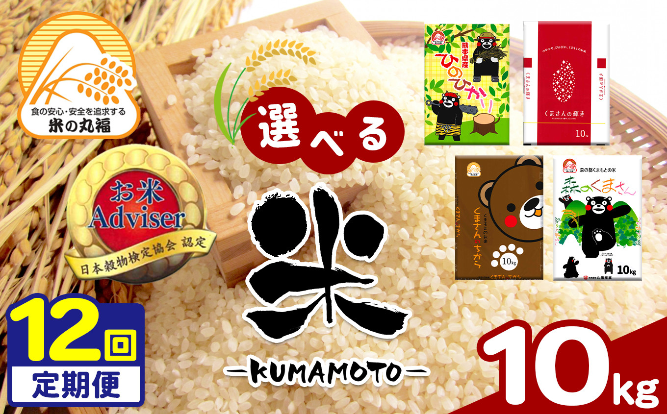 
            【定期便12回】≪選べる品種≫熊本県産米 10kg×12回 | お米 米 おこめ こめ 白米 精米 定期 定期便 熊本県 玉名市
          
