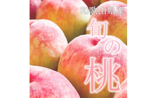 
            和歌山県産 旬 の 桃 5～6玉入り 秀品【2025年6月下旬より順次発送】【mtgn043】
          