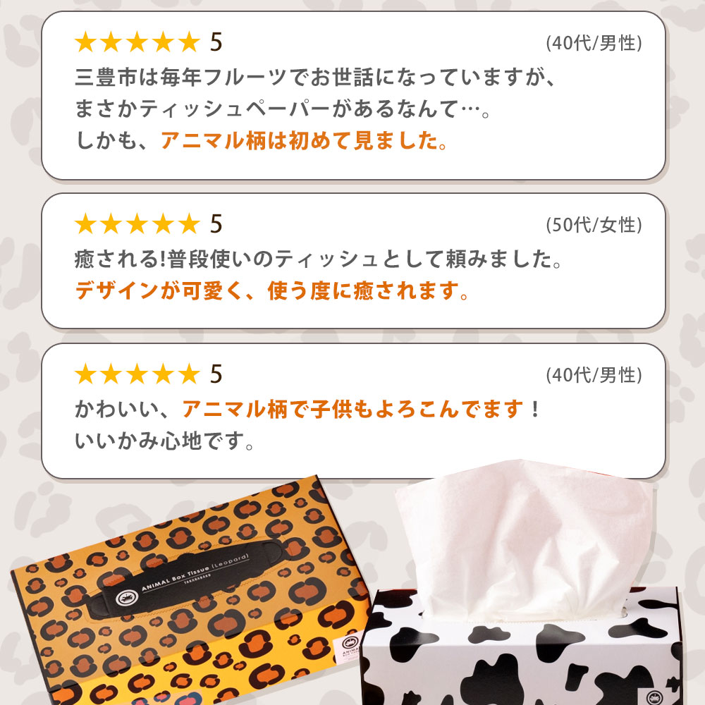 MH140-0137_【ふるさと納税】 ティッシュ ティッシュペーパー「 大容量 ANIMAL BOXティッシュ 定期便 2パック (ケース10個入り) 全3回(毎月)」[ 動物柄 アニマル柄 常備品