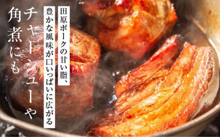 国産 豚肉 ブロック 肩ロース・バラ 食べ比べ 1kg×2 計2kg 田原ポーク  | 豚肉 ブロック肉 豚肉 ブロック肉 豚肉 ブロック肉 豚肉 ブロック肉