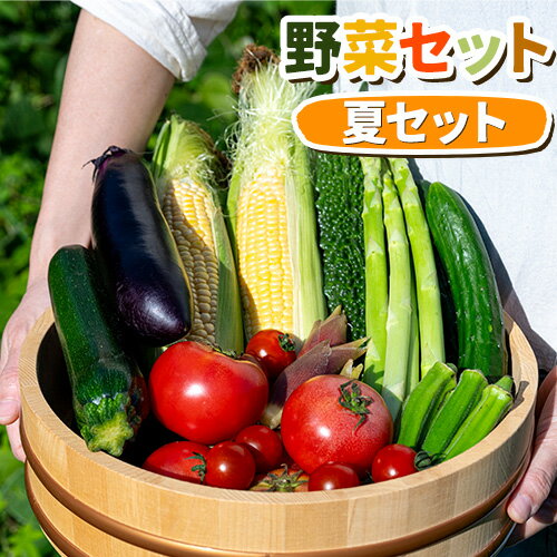 【ふるさと納税】【2026年先行予約】 野菜セット 夏 八頭船岡農場《2026年8月上旬-9月中旬頃出荷》鳥取県 八頭町 黒なす 緑なす ピーマン ジャガイモ
