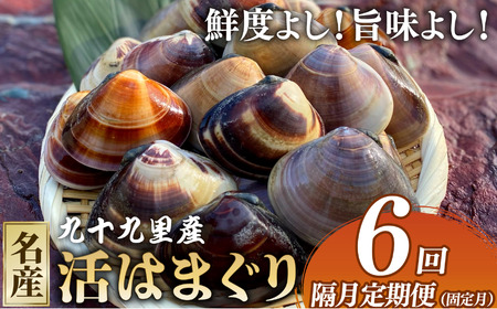 活 はまぐり1.5kg 全6回発送 【 定期便 奇数月 】 はまぐり 九十九里産