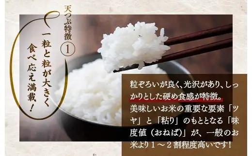 【令和8年産】【全4回定期便】米　国見町産　天のつぶ 5kg（5kg×1袋） 4回定期便 ※2026年10月～発送