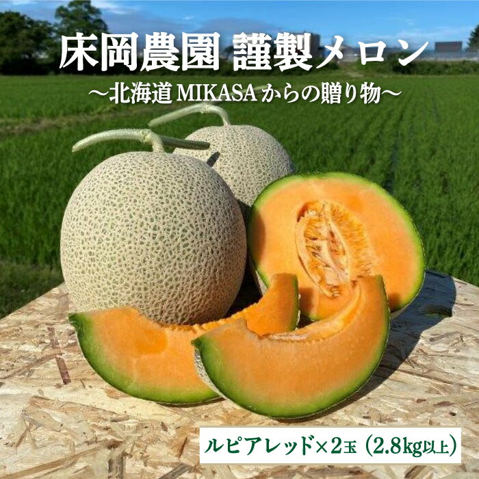 【ふるさと納税】《2025年分受付中》床岡農園・謹製メロン(2玉入り2.8kg以上)～北海道MIKASAからの贈り物～｜メロン 2玉 フルーツ 2.8kg 2.8kg以上 果物 デザート グルメ 旬 取り寄せ 贈り物 ふるさと納税 三笠市 三笠【01165】